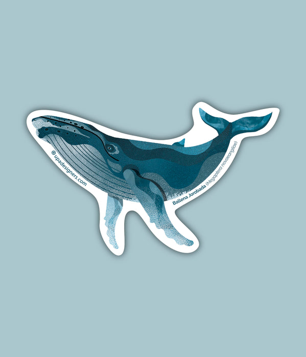Sticker Ballena Jorobada