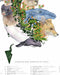 Mapa de Animales que Habitan Chile - Enmarcado - Mappin