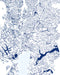 Mapa Hidrográfico de Chile - Enmarcado - Mappin