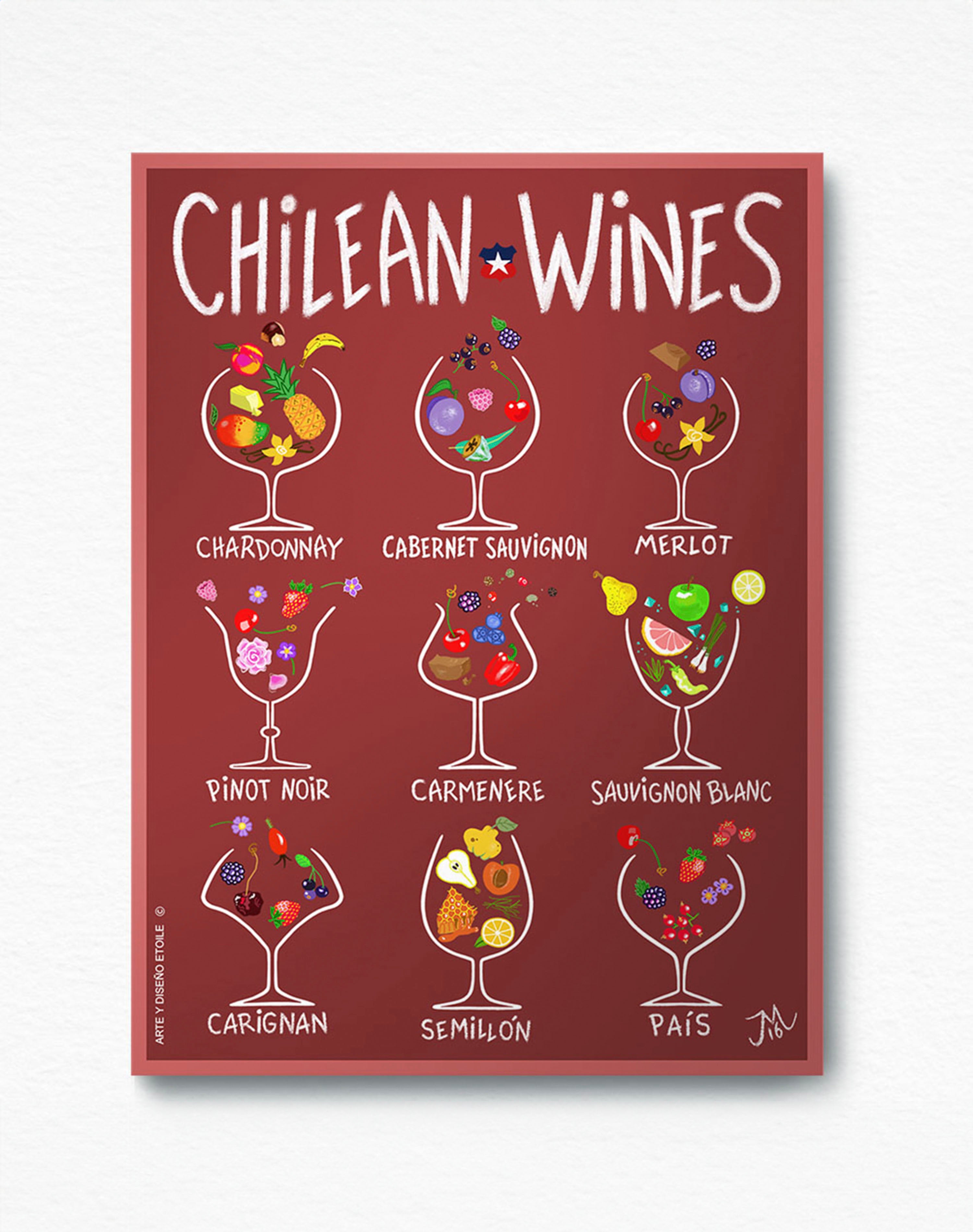 Chilean Wines - Lámina