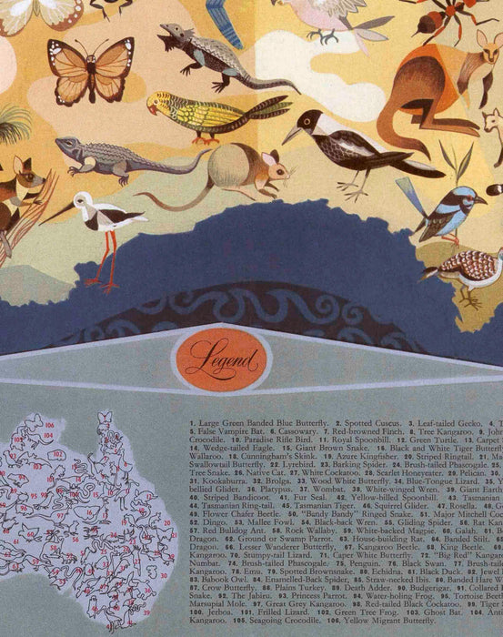Mapa Ilustrado de Australia - Lámina - Mappin