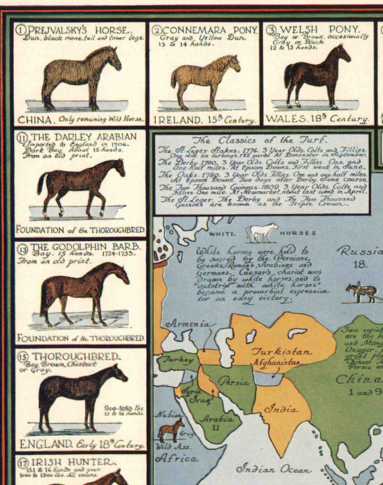 Mapa de Caballos del Mundo - Lámina