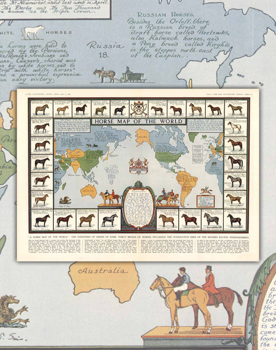 Mapa de Caballos del Mundo - Lámina