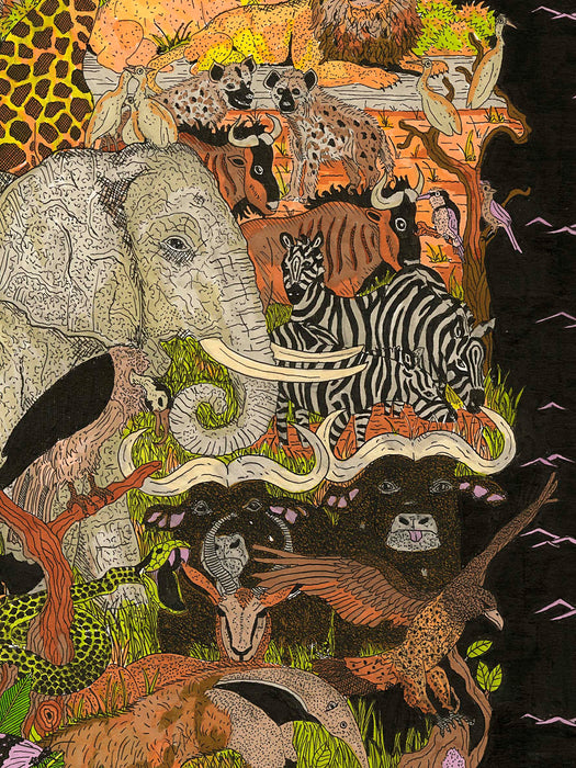 Mapa de África y su Fauna ilustrada - Lámina