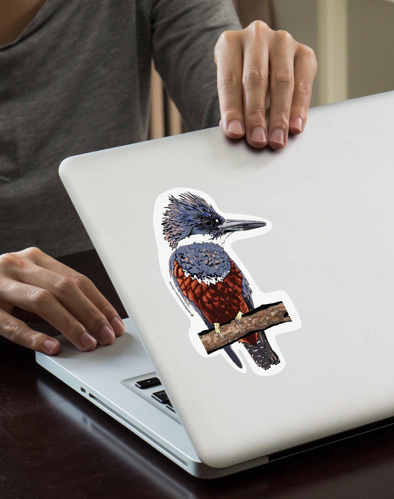 Sticker Martín Pescador — Mappin
