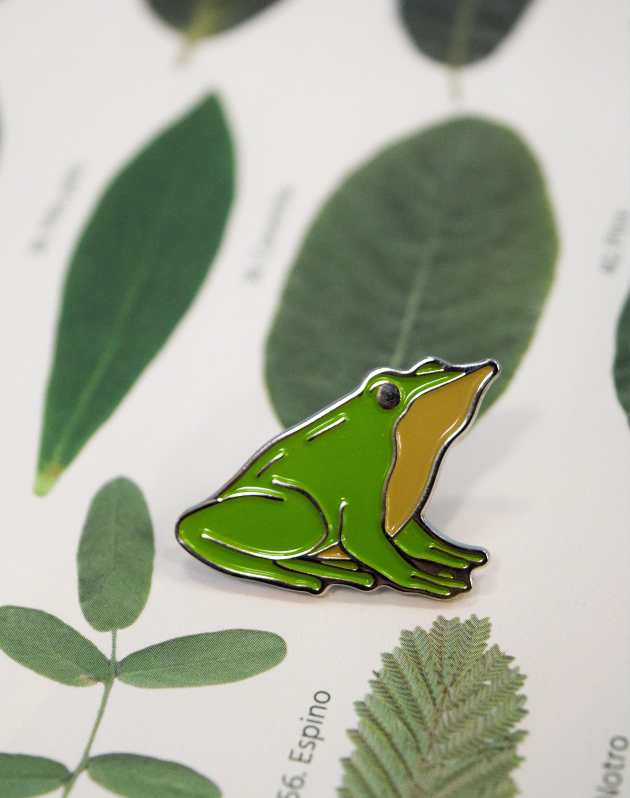 Pin de Fauna Chilena - Ranita de Darwin — Mappin