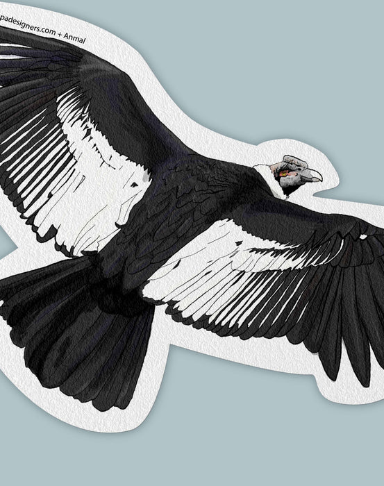 condor sticker