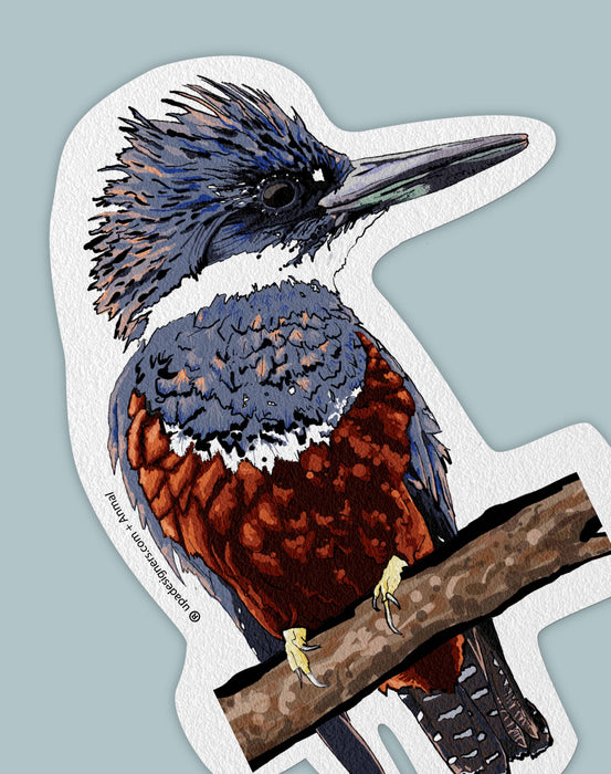 Kingfisher Sticker
