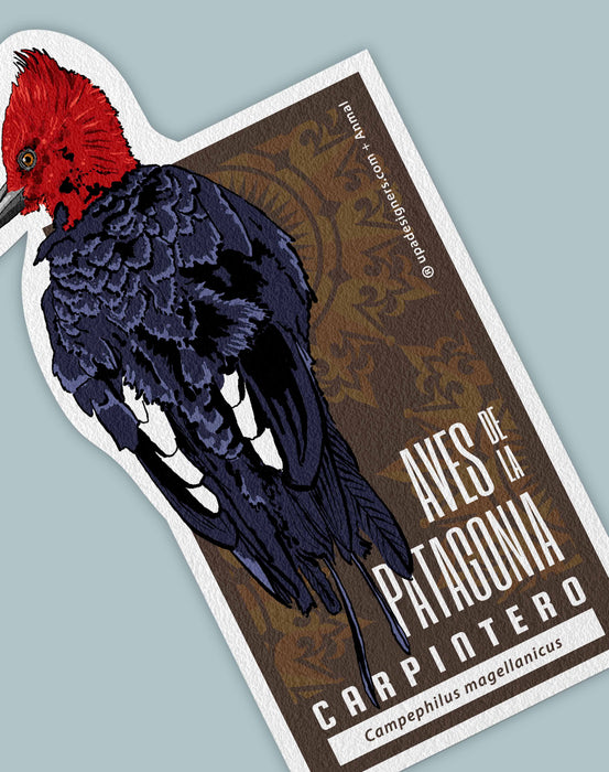 Sticker Carpintero Aves de la Patagonia