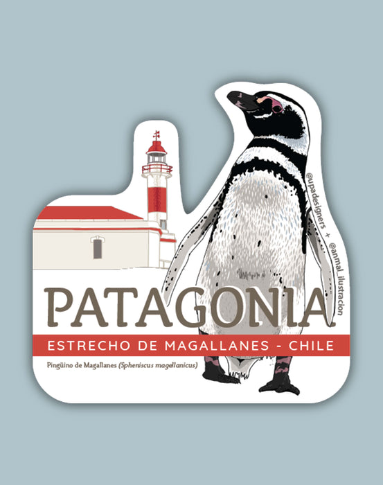 Magellanic Penguin Sticker