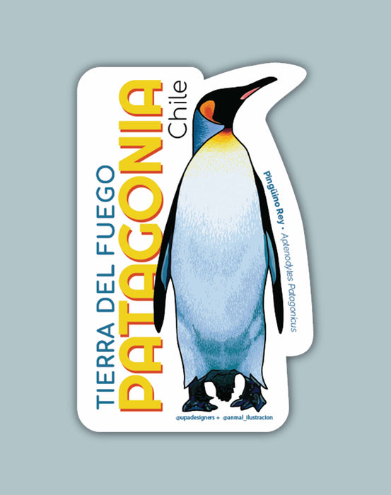 Sticker Pingüino Rey Tierra del Fuego