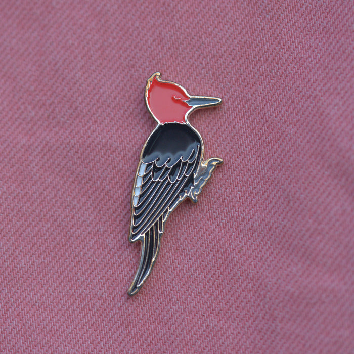 PACK Pins de Fauna Chilena - Carpintero Hembra y Macho