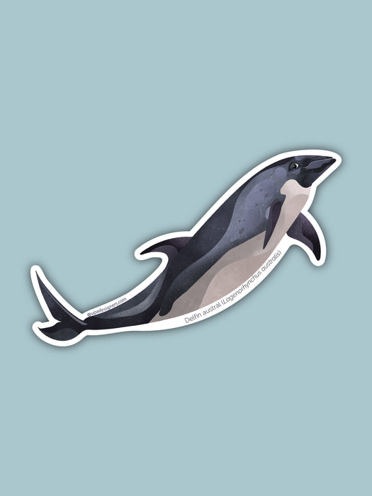 Sticker Delfín Austral