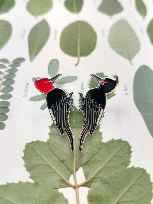 PACK Pins de Fauna Chilena - Carpintero Hembra y Macho