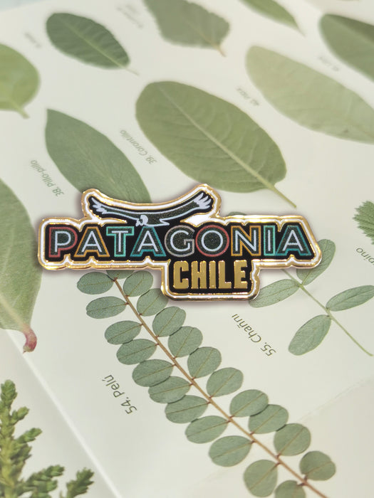 Pin Patagonia Chile