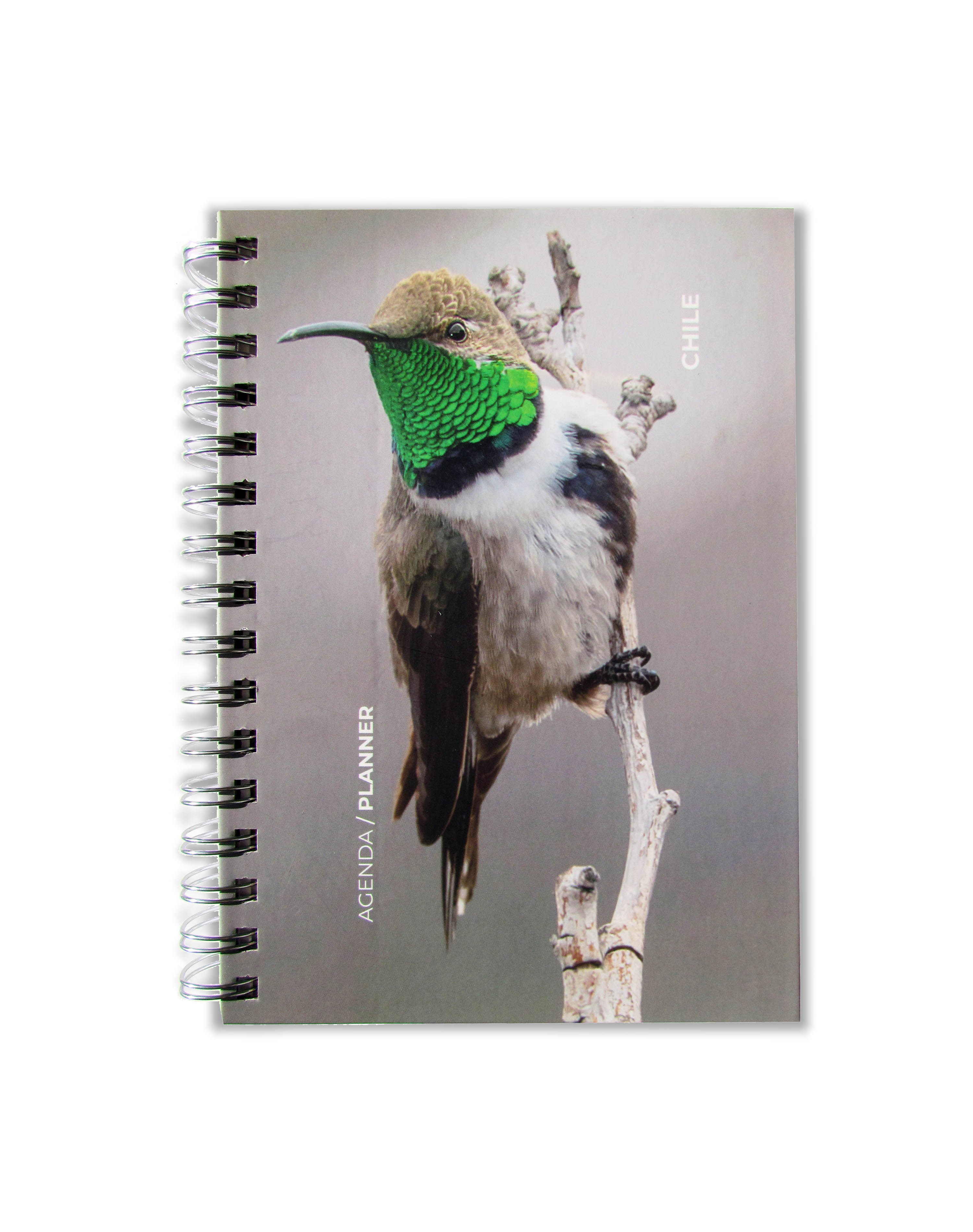 Agenda Aves Chilenas - Planner Día por página