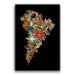 Flor de Sudamérica Negro - Lámina - Mappin