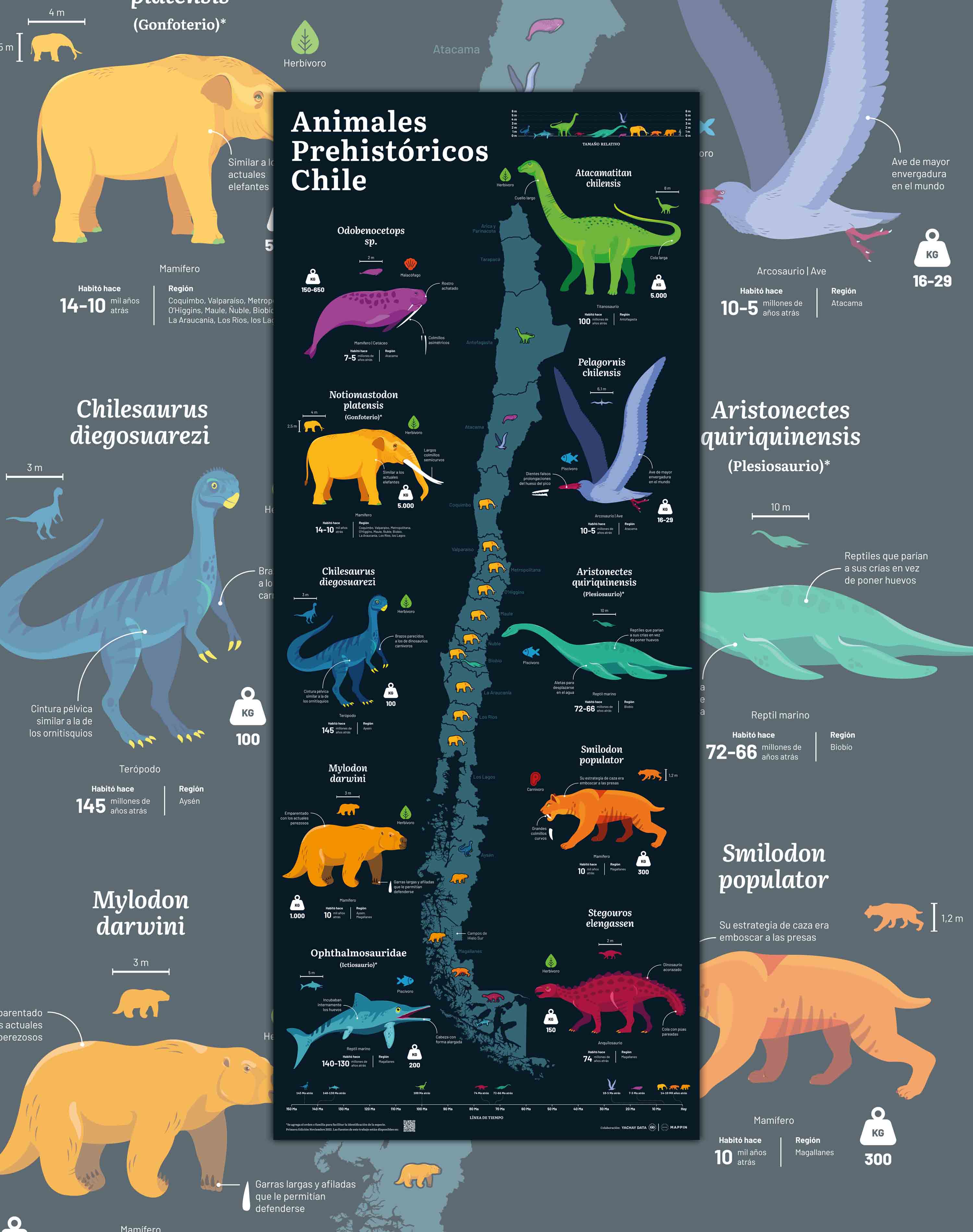 Mapa de Animales Prehistóricos de Chile - Lámina