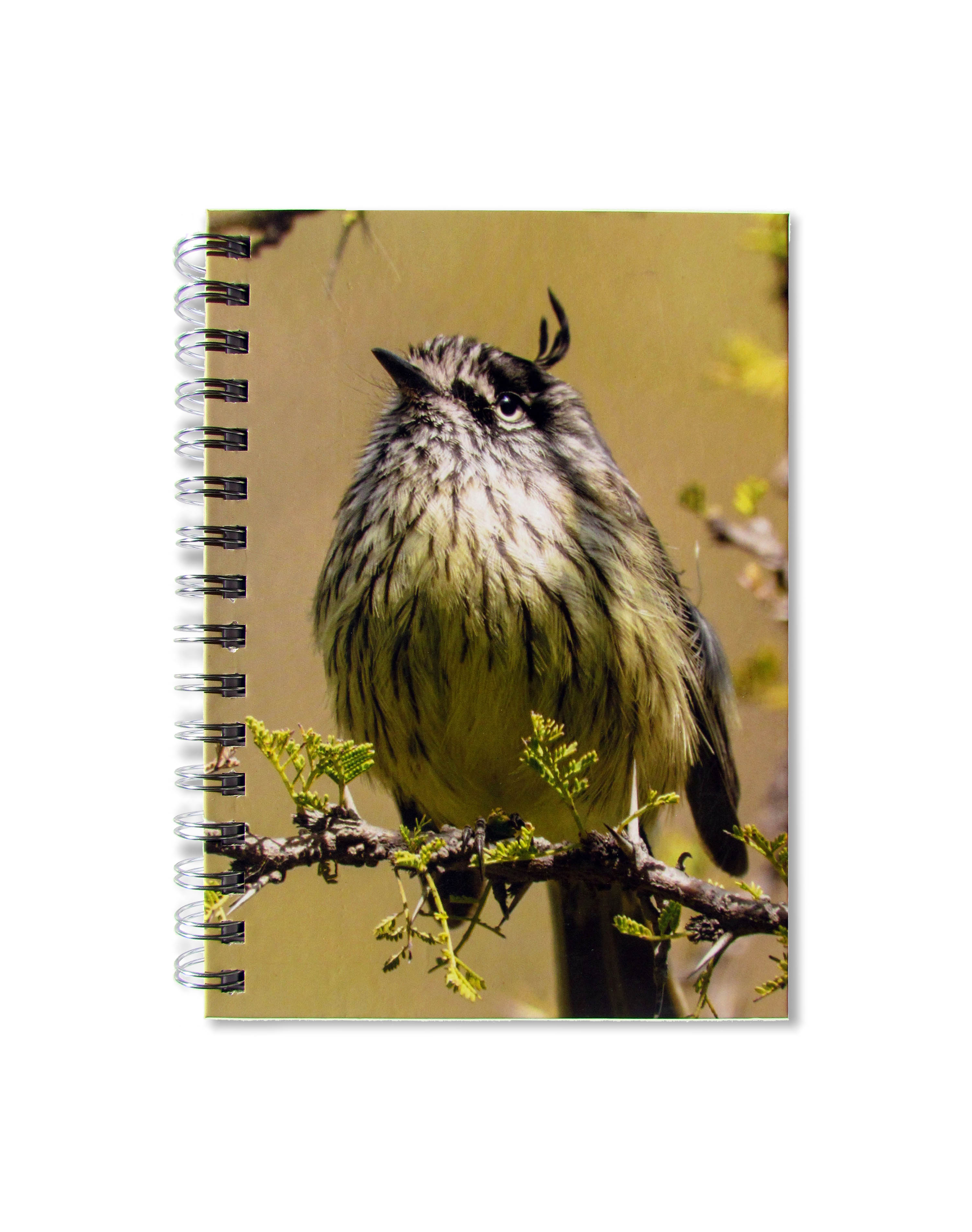 Cuaderno de Aves