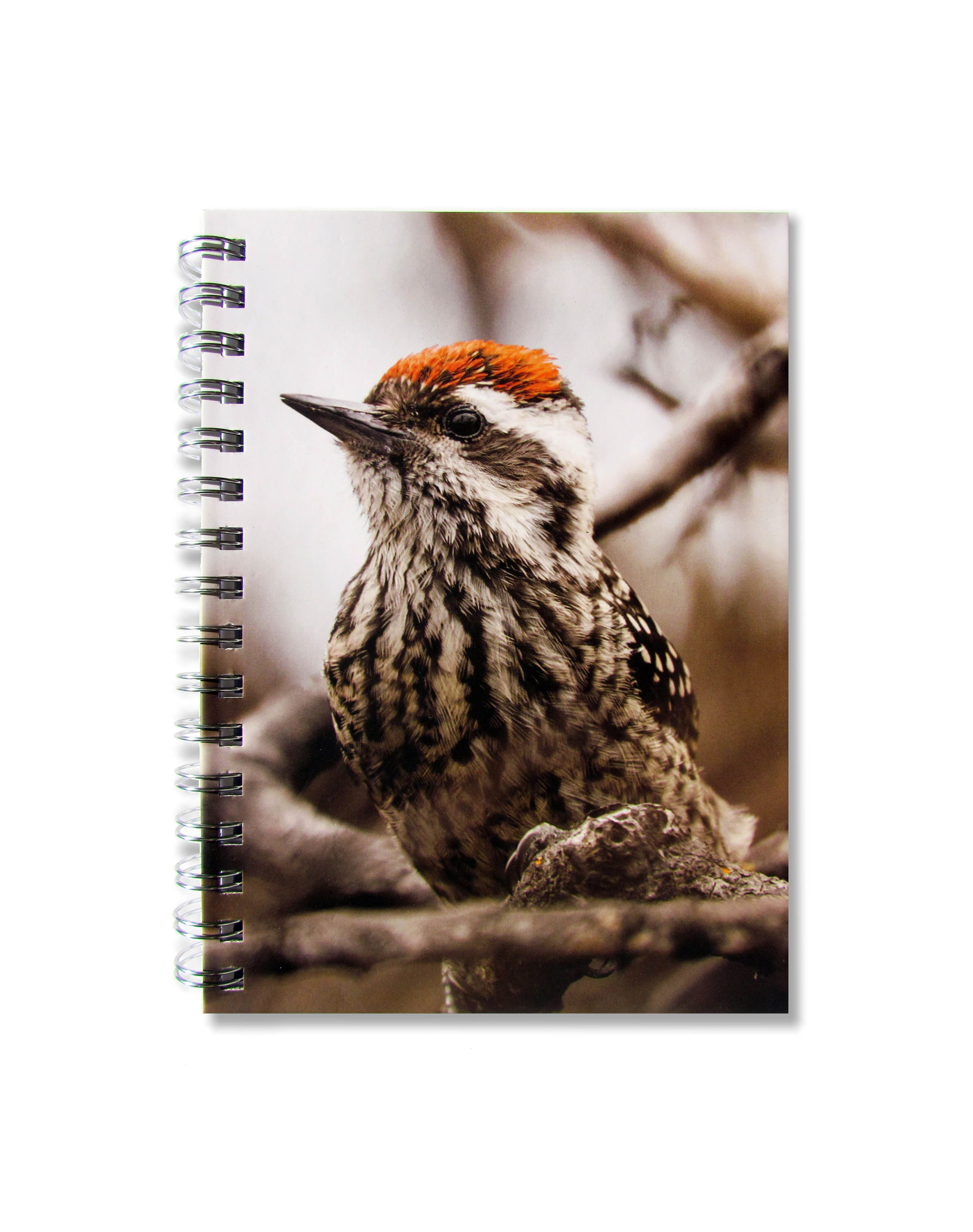 Cuaderno de Aves