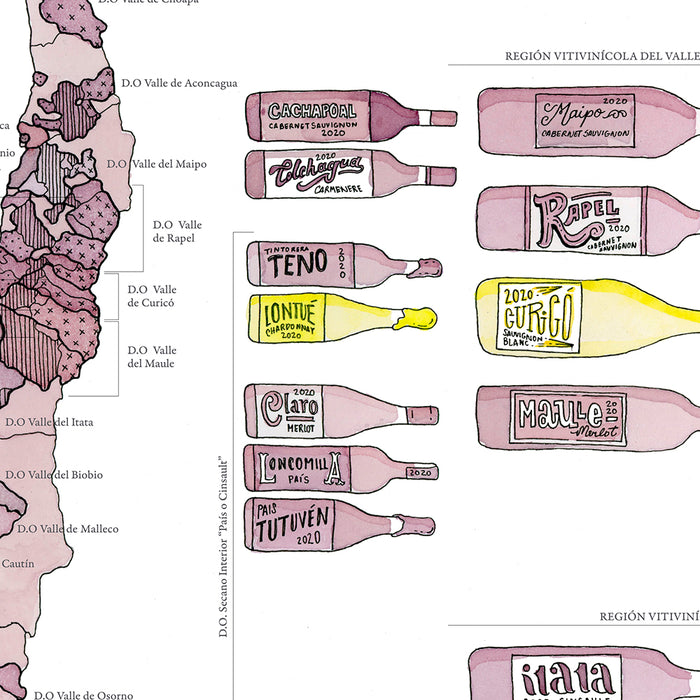 Wines of Chile 2022 - Print