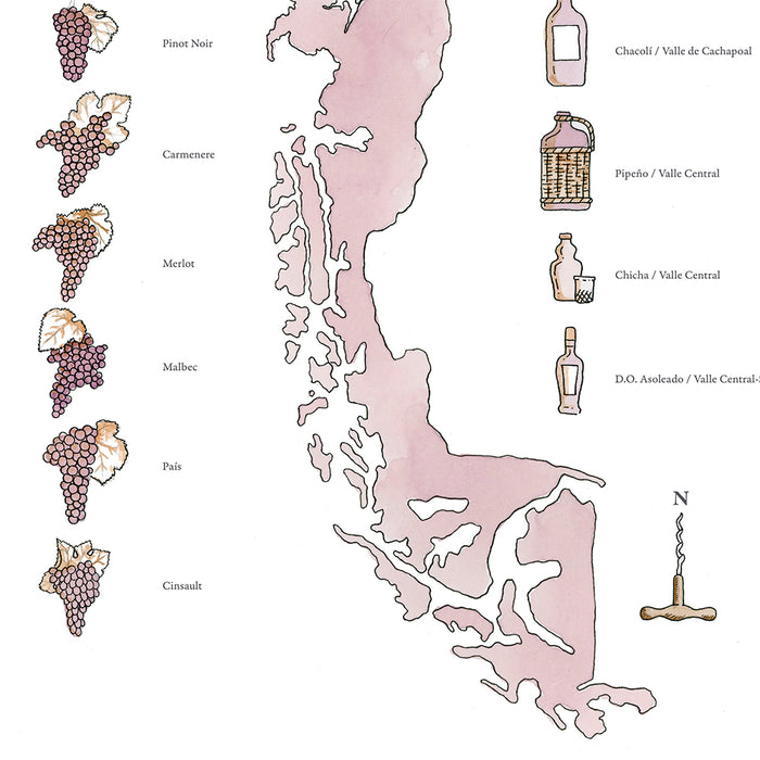 Mapa de Vinos de Chile - Lámina