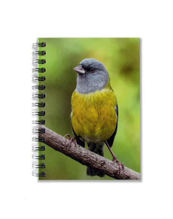 Cuaderno de Aves - Mappin