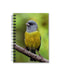Cuaderno de Aves - Mappin