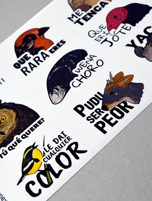 Set Stickers - Dichos de Fauna Chilena I - Mappin
