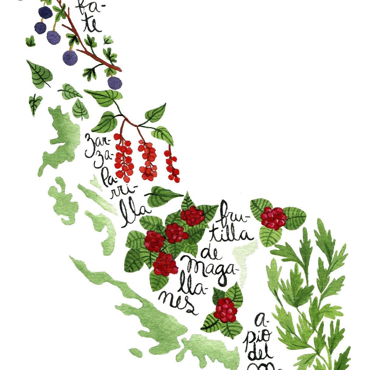 Mapa de Frutas y Verduras de Chile - Lámina - Mappin