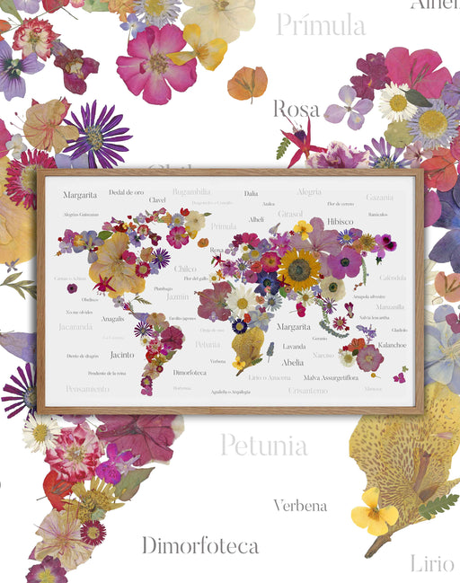 Mapa del Mundo de Flores Prensadas - Enmarcado - Mappin