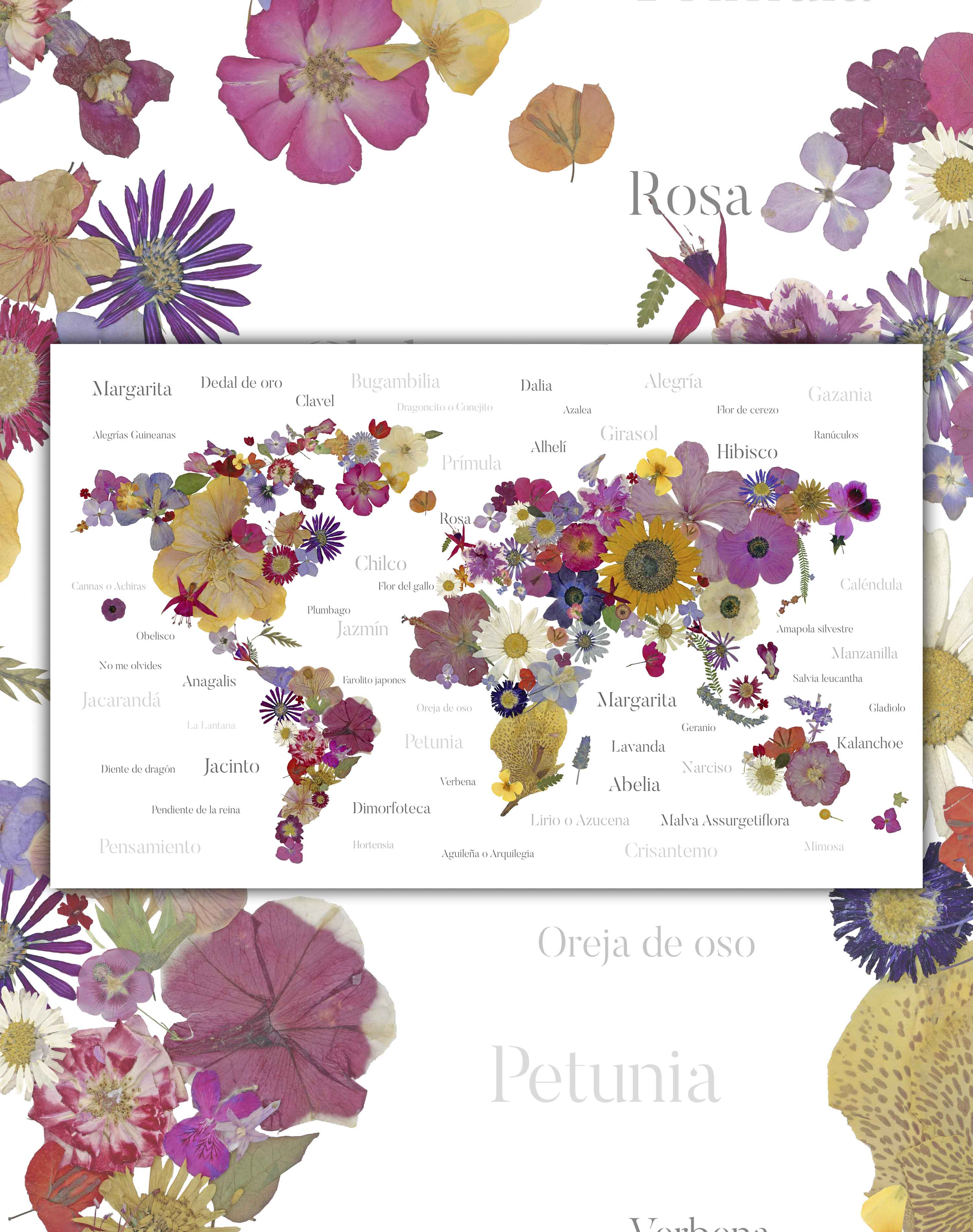 Mapa del Mundo de Flores Prensadas - Lámina