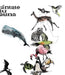 Mapa de Fauna Chilena - Lámina - Mappin