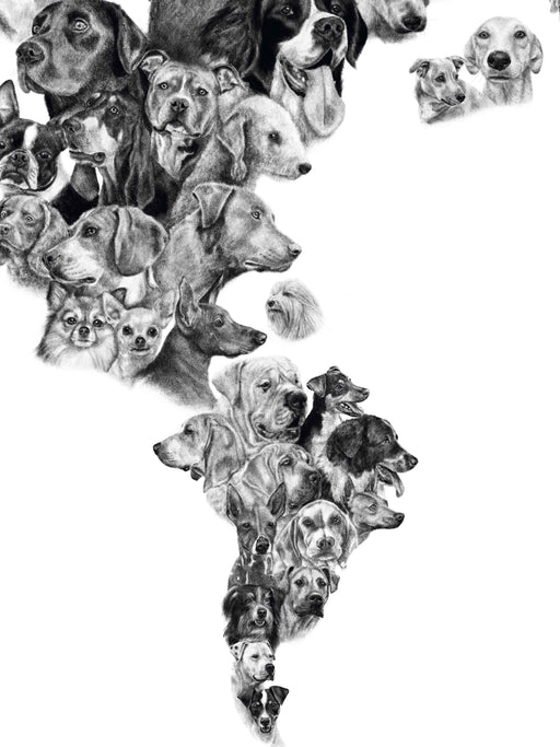Mapa de Perros de América - Lámina - Mappin