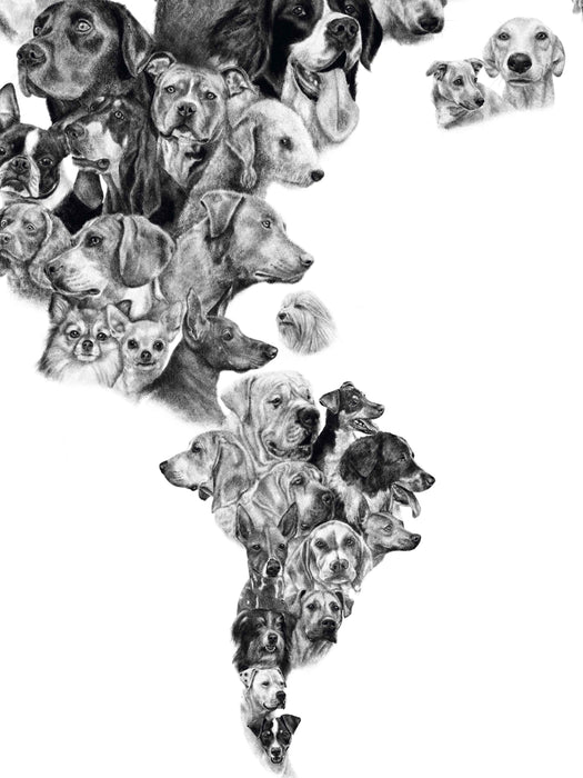 Mapa de Perros de América - Enmarcado - Mappin