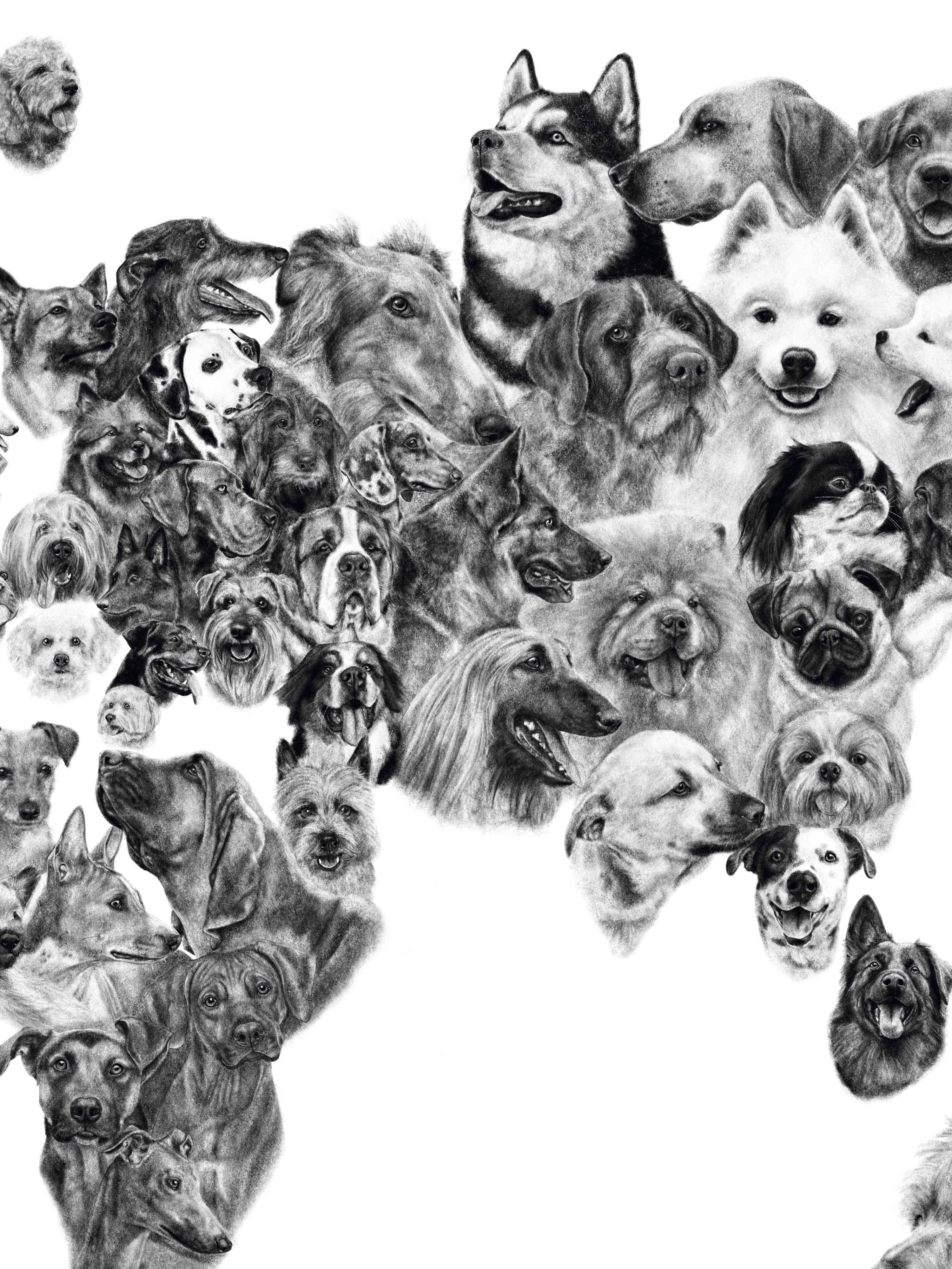 Mapa de Perros del Mundo - Lámina - Mappin