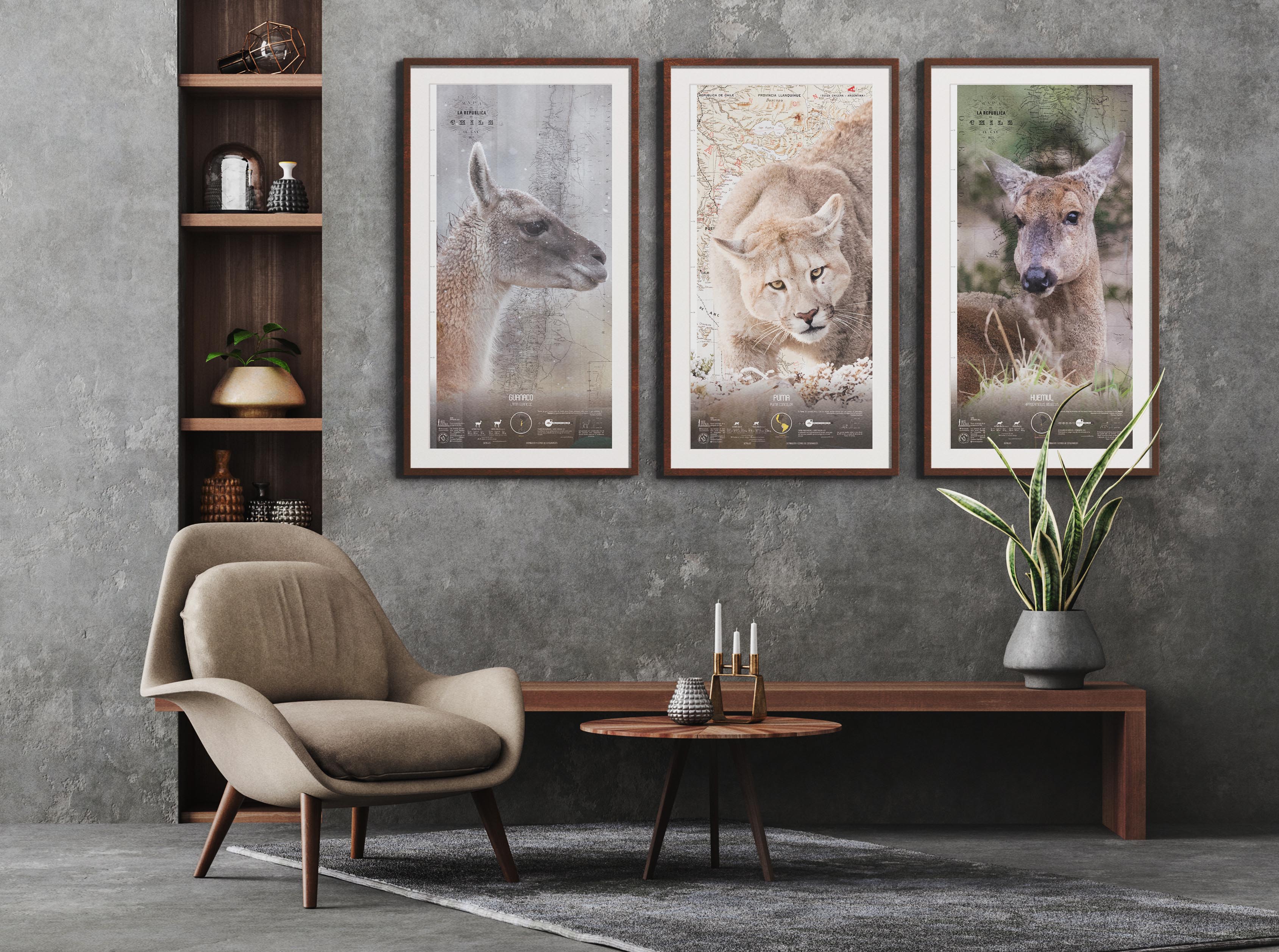Puma Art Scale - Framed