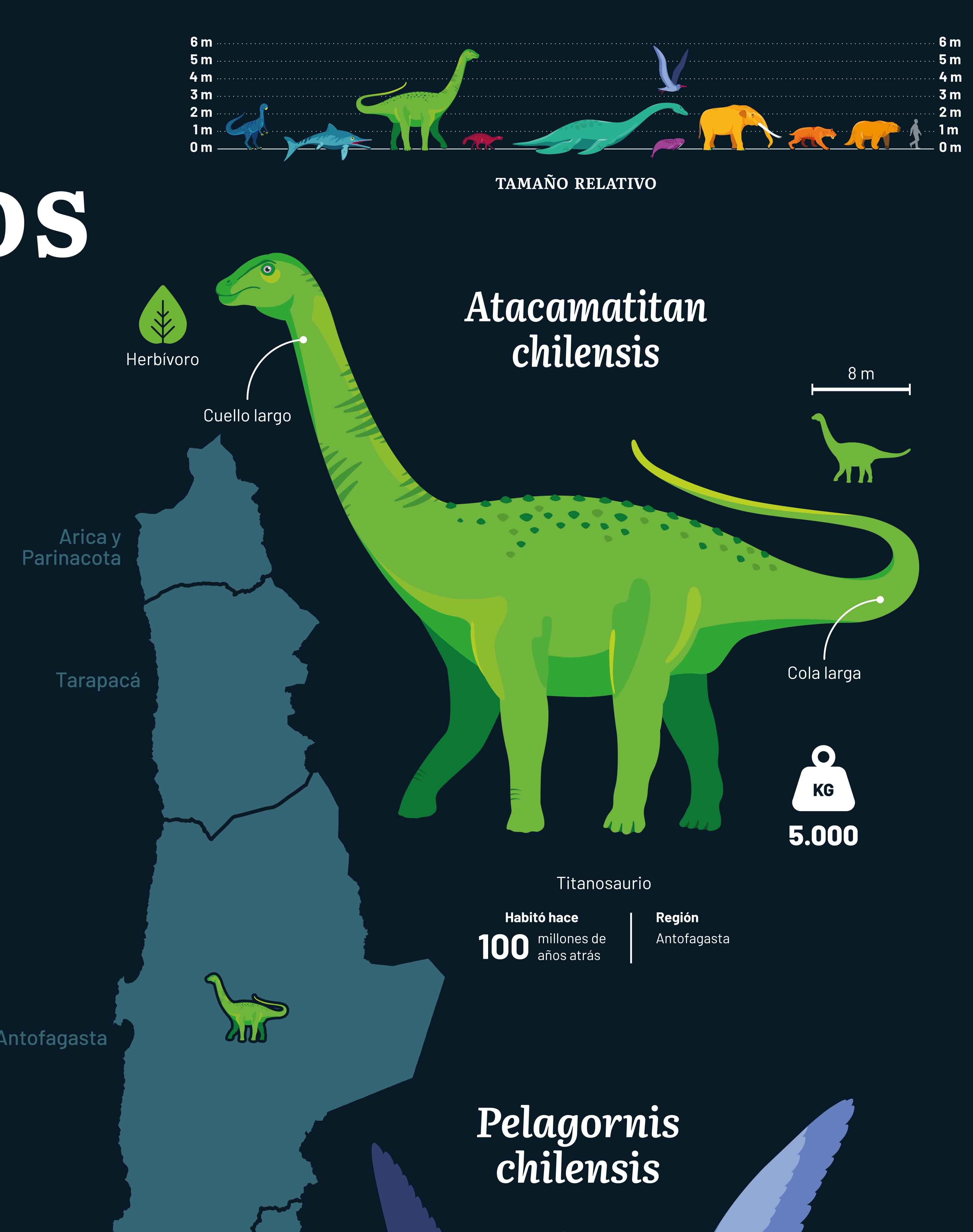 Mapa de Animales Prehistóricos de Chile - Lámina