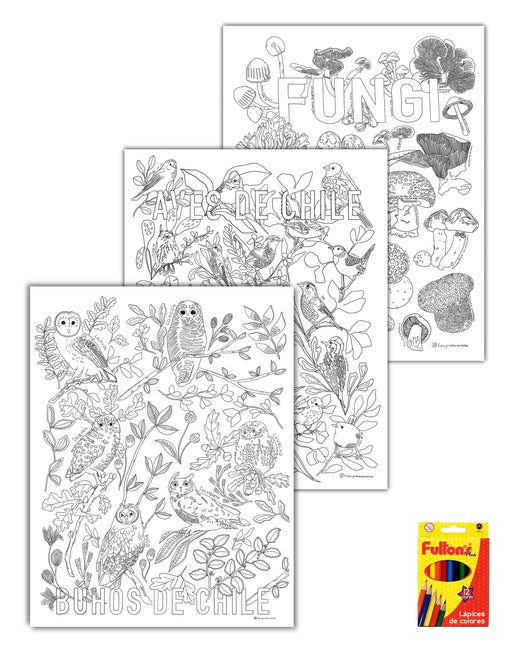 Pack 3 Pósters Coloreables con Lápices - Mappin