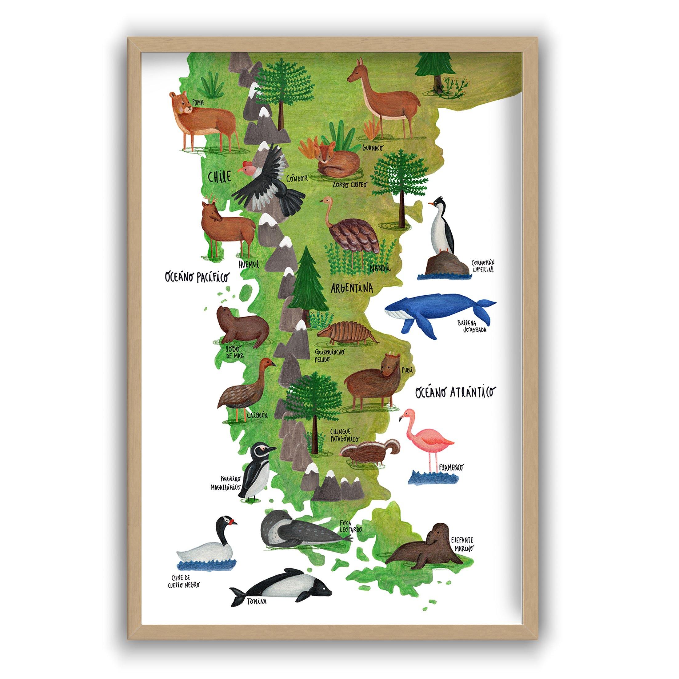 Patagonia Ilustrada - Enmarcado - Mappin