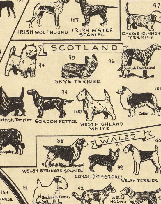Mapa Antiguo de Perros del Mundo - Enmarcado - Mappin