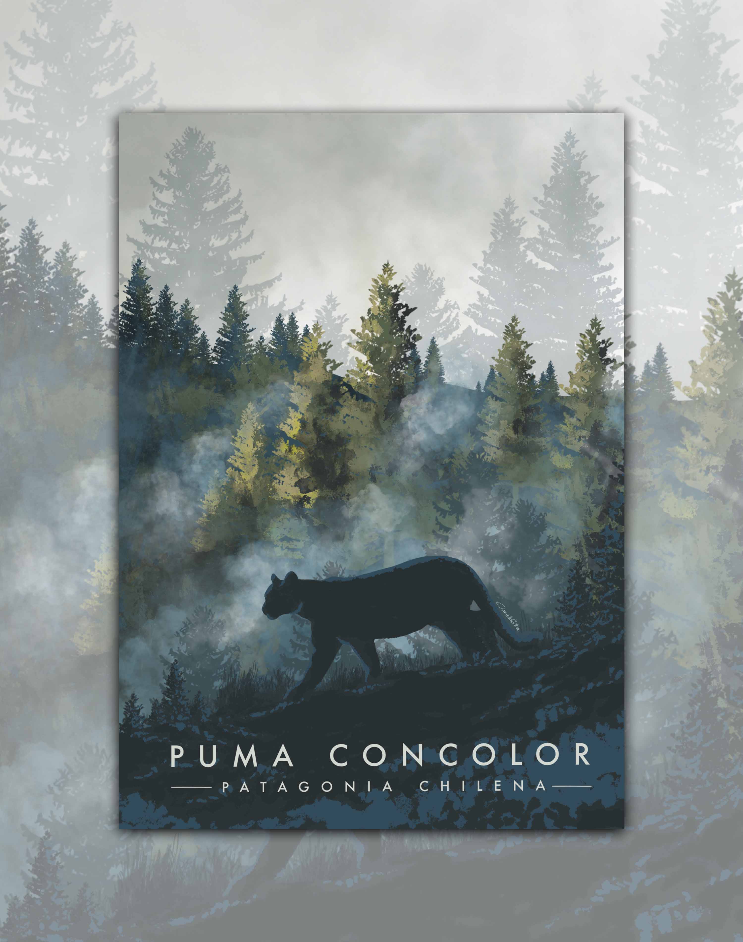 Poster Puma Concolor - Lámina