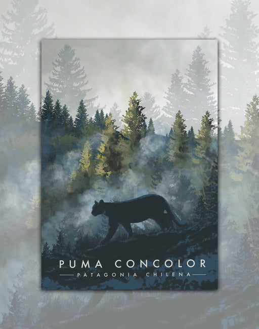 Poster Puma Concolor - Lámina - Mappin