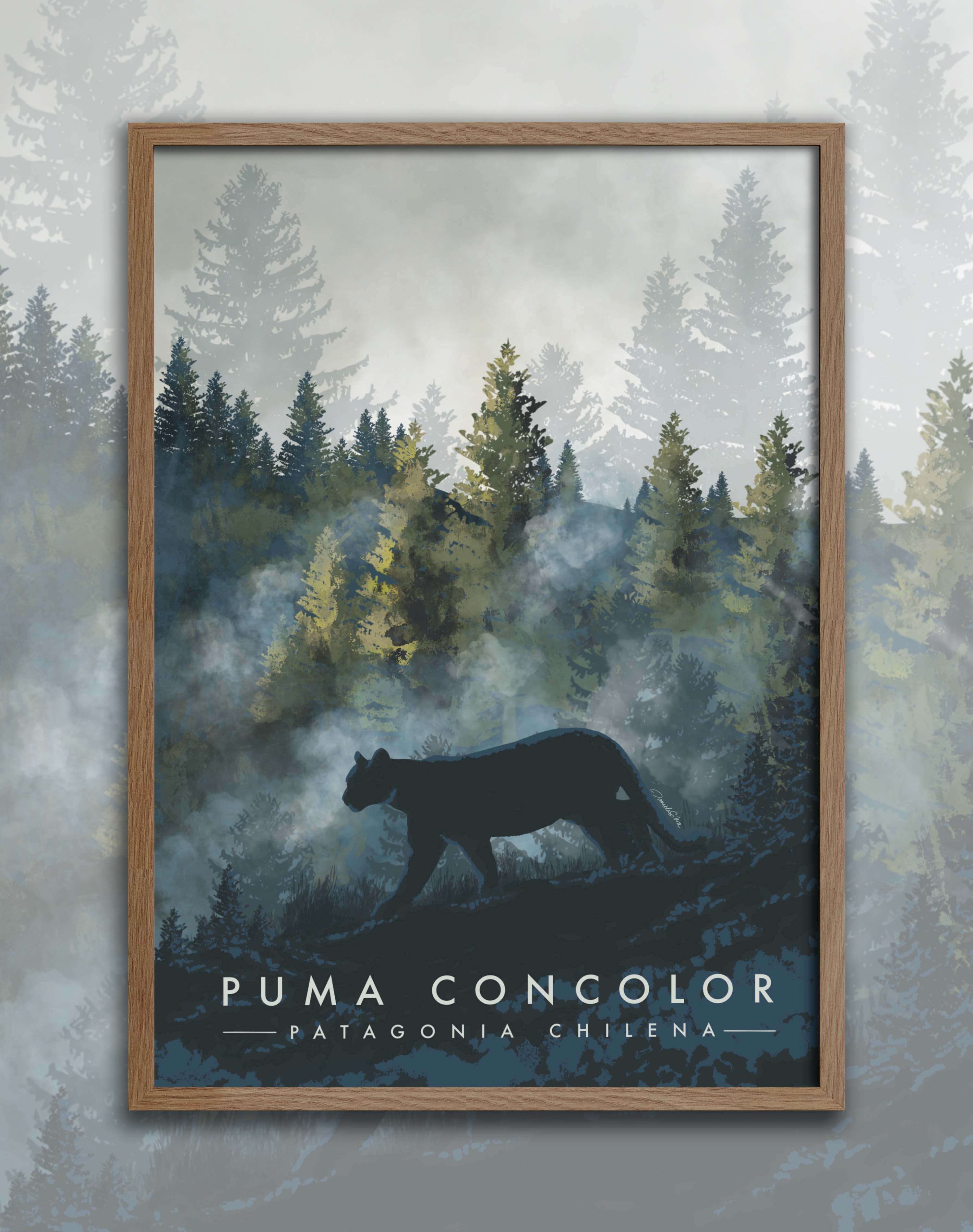 Poster Puma Concolor - Enmarcado