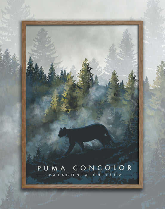 Poster Puma Concolor - Enmarcado - Mappin