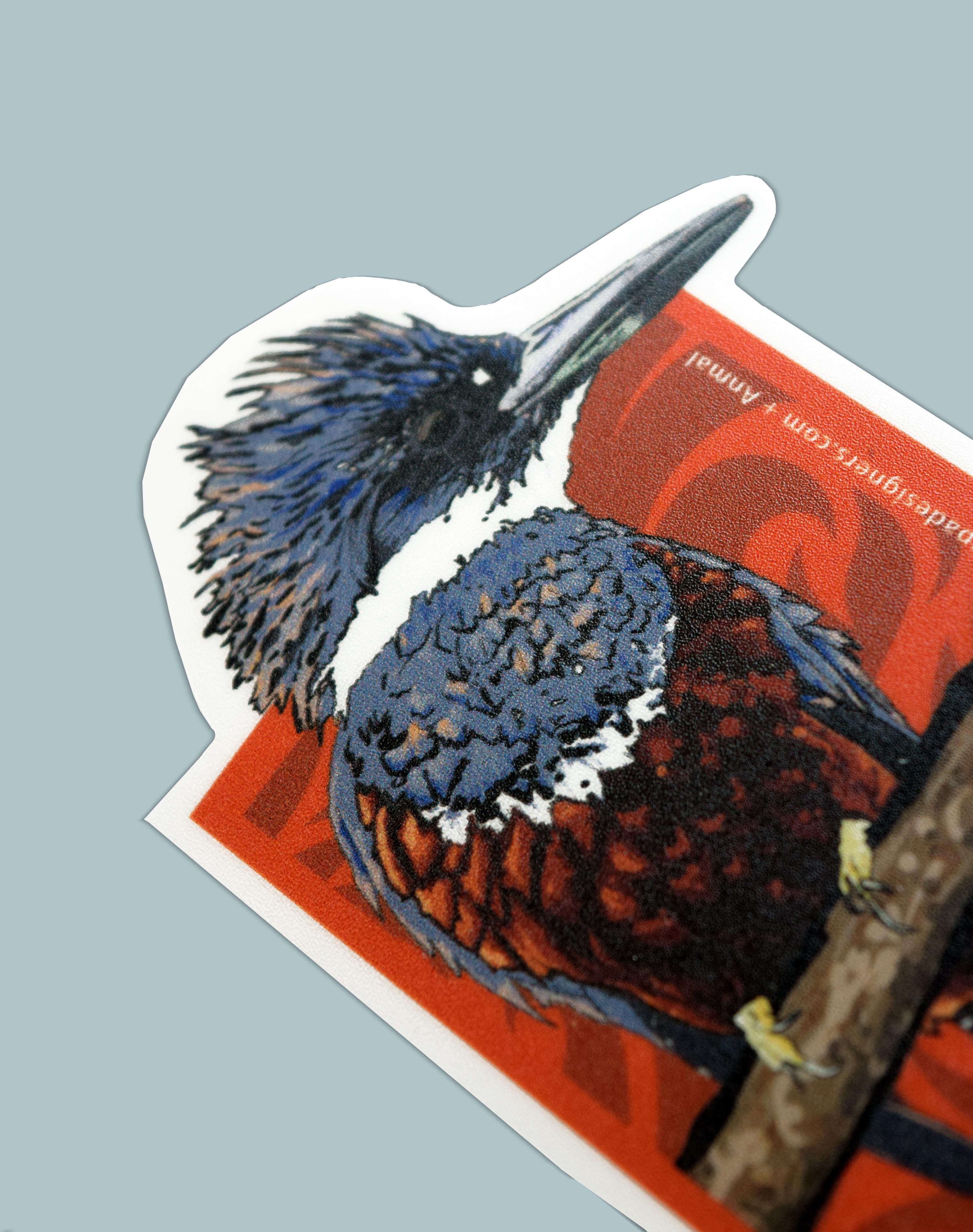Sticker Martín Pescador Aves de la Patagonia
