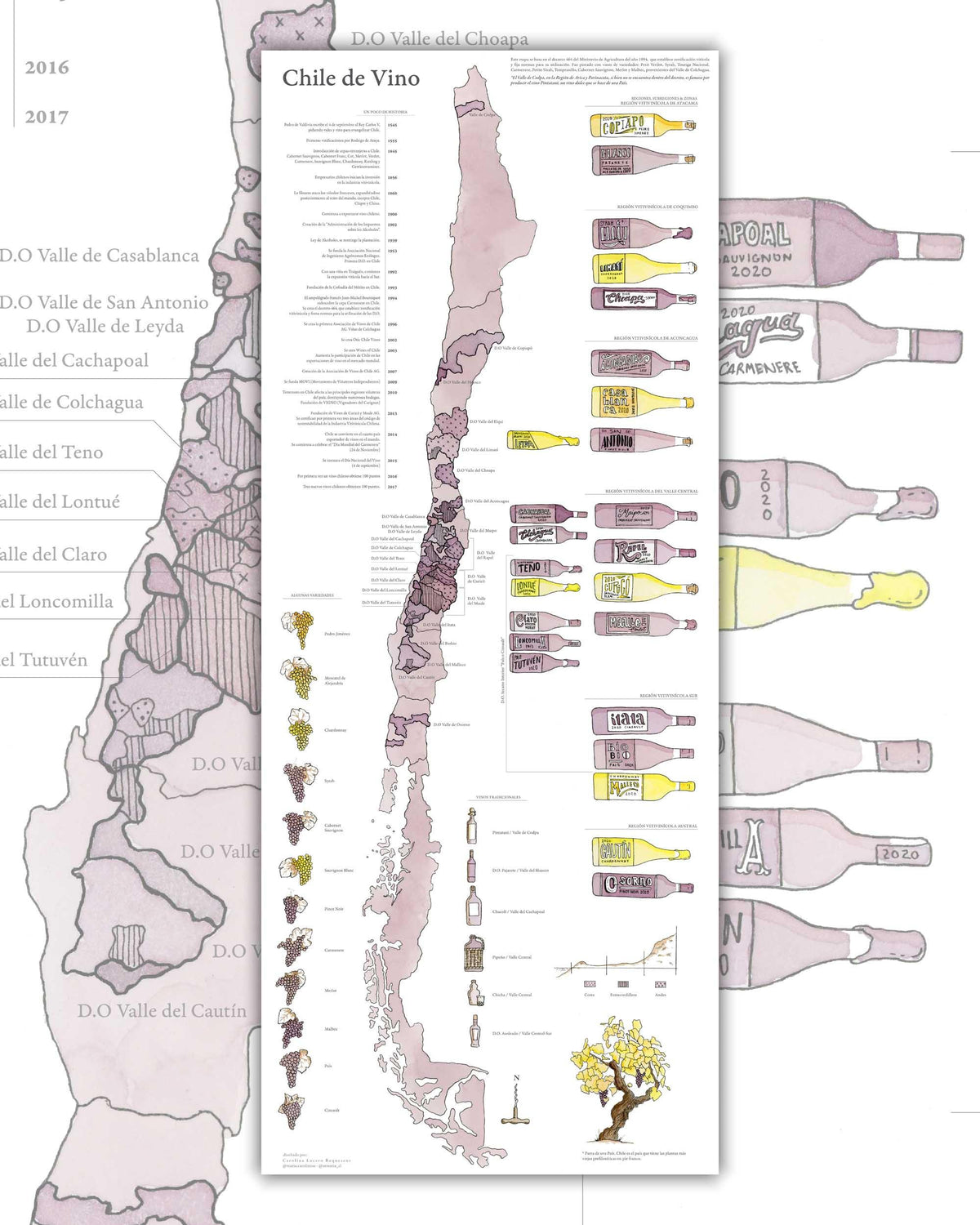 Mapa de Vinos de Chile - Lámina — Mappin
