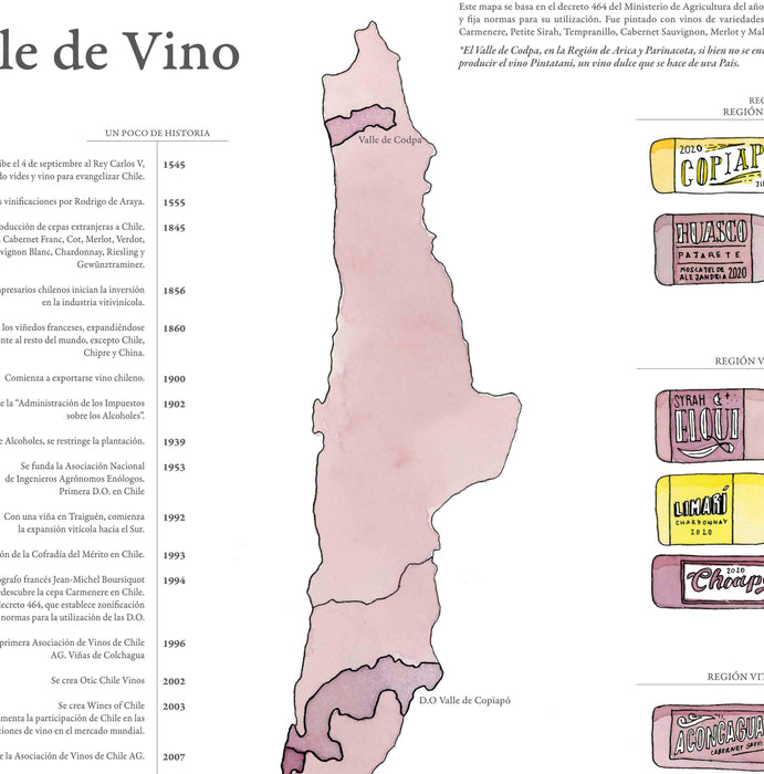 Vinos de Chile 2020 - Enmarcado - Mappin