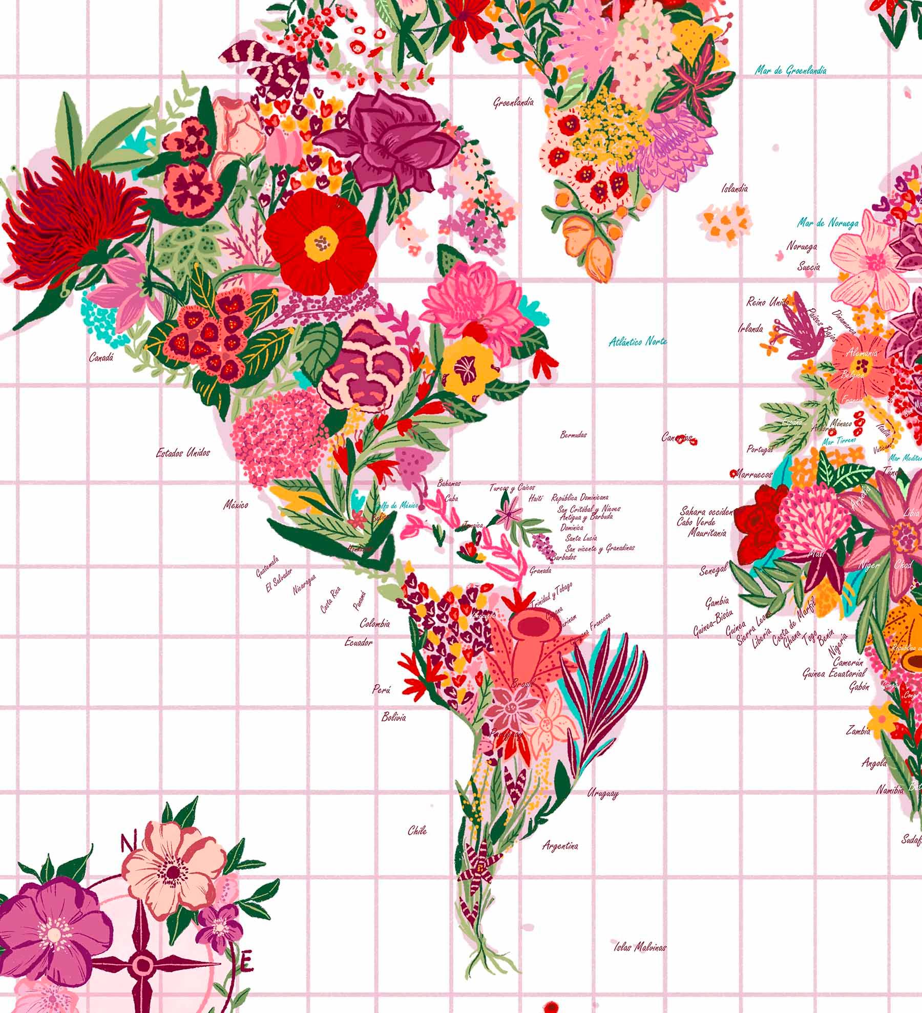 Mapa Mundi de Flores - Enmarcado - Mappin