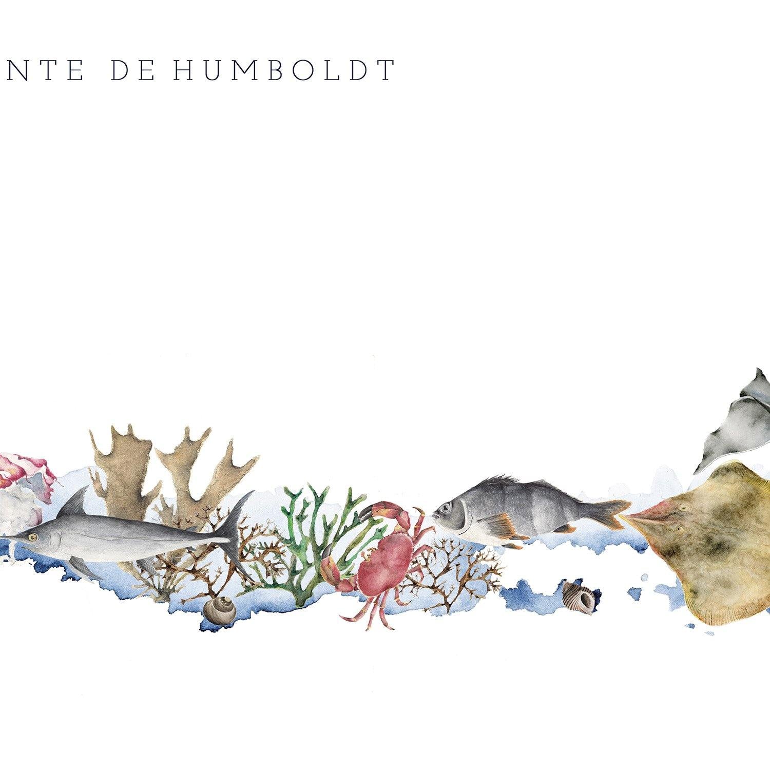 Mapa de Corriente de Humboldt - Enmarcado - Mappin